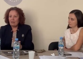 Diagnostikimi dhe ndërhyrja e hershme në Çrregullimin e Spektrit të Autizmit, ADHD dhe vonesat në zhvillim